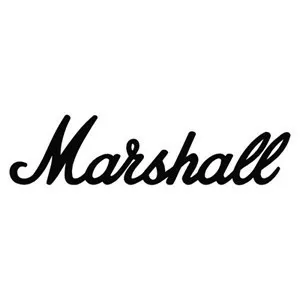 Marshall Amplification