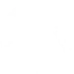 Martha Falcao Faculty - Company