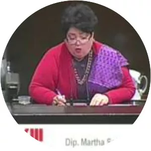 Martha Tamayo - Member of the Mexican Chamber of Deputies