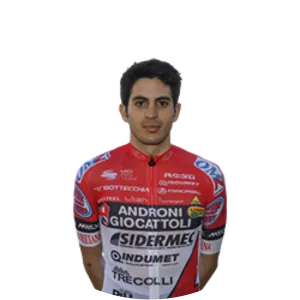 Martí Vigo del Arco