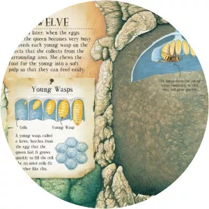 Martin Camm - Illustrator