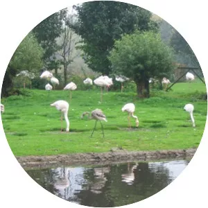 Martin Mere - Mere in England