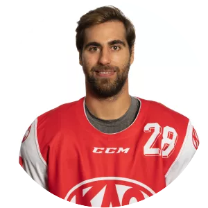 Martin Schumnig - Ice hockey player