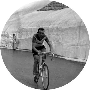 Martin Van Den Bossche