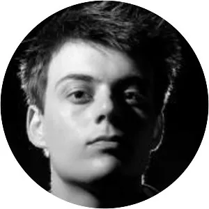 Martin Volt Musician