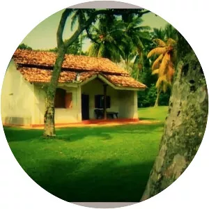 Martin Wickramasinghe