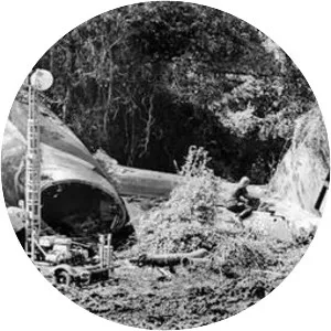 Martinair Flight 138