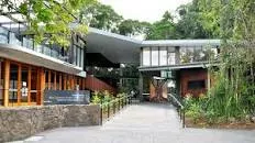 Mary Cairncross Reserve - 