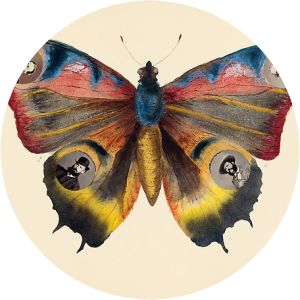 Mary Georgina Filmer