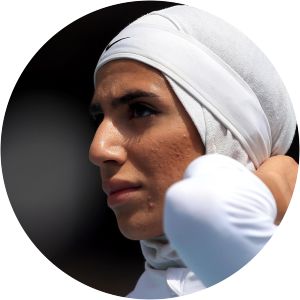 Maryam Mohebbi - Internet personality