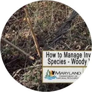 Maryland Department of Natural Resources