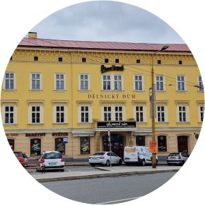 maryna hrymych vil hryhorovych hrymych