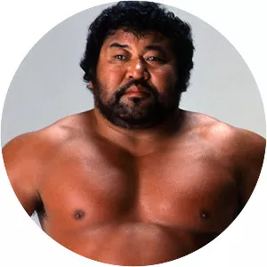 Masa Saito