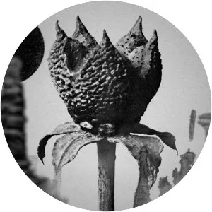 Masayoshi Fujita - Musical artist