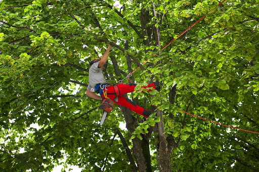 Maschinenring Flachgau