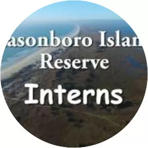 Masonboro Island Reserve - 