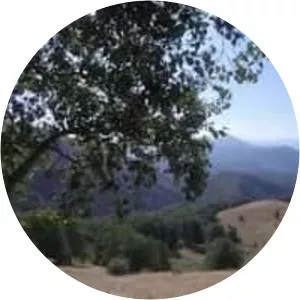 Massiccio del Sirino - Mountain in Italy