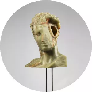 Massimiliano Pelletti - Visual artist