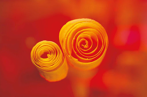 Massivholztischlerei Senn - 