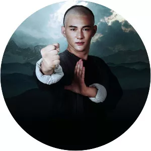 Master of the Shadowless Kick: Wong . . .