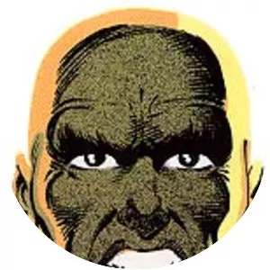 Master Order - Fictional character