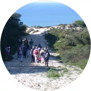 Mata Nacional dos Medos - 