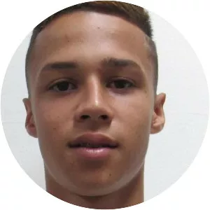 Matheus de Araujo Andrade