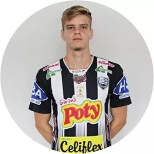 Matheus Valdambrini Carrasco