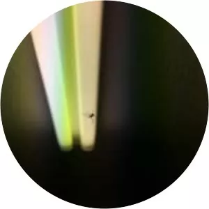 Mathew Lee Cothran photograph