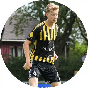 Mathias Damgaard - Football player