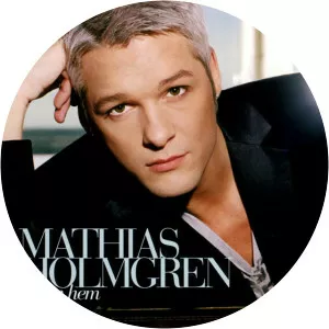 Mathias Holmgren - Singer