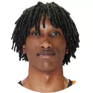 Mathias Van den Beemt