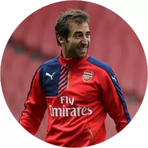 Mathieu Flamini - French former football player