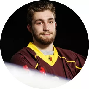 Mathieu Vouillamoz - Ice hockey player