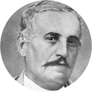 Matija Mažuranić - Writer