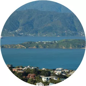 Matiu/Somes Island - Island in Lower Hutt, New Zealand