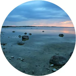 Matsalu Bay - Bay in Estonia