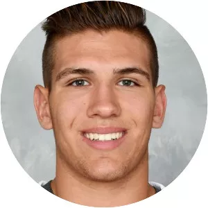 Matt Bradley - Canadian ice hockey player