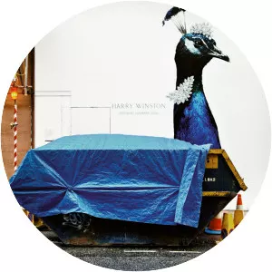 Matt Stuart - Photographer