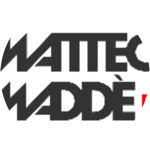Matteo Madde - Musical artist