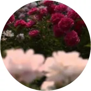 Matthaei Botanical Gardens