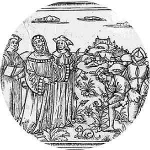 Matthaeus Silvaticus