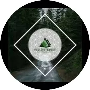 Matthias Springer - Musical artist