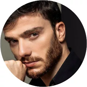 Mattia Olivieri - Musical artist