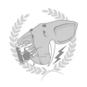 Mátyás Milkovics Musician - Musician