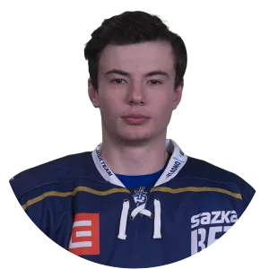 Matyáš Zelingr - Ice hockey player