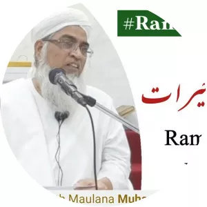 Maulana Muhammad Shafiuddin