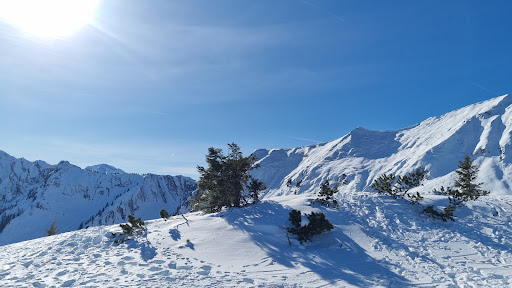 Maurach, Buchau - Bus stop in Austria