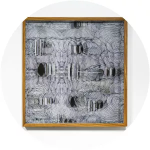 Maurizio Donzelli - Author