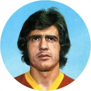Maurizio Gori